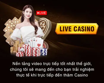 Vai trò người chơi